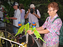 065 Cairns Tropical Zoo